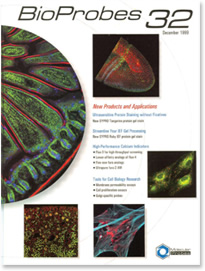 coverbp